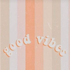 Meet your Posher, Stevie